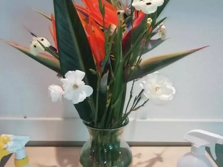 ホテル Sun1 Midrand