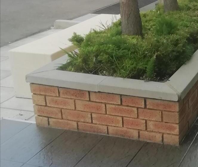 בית מלון כפרי Sun1 Midrand