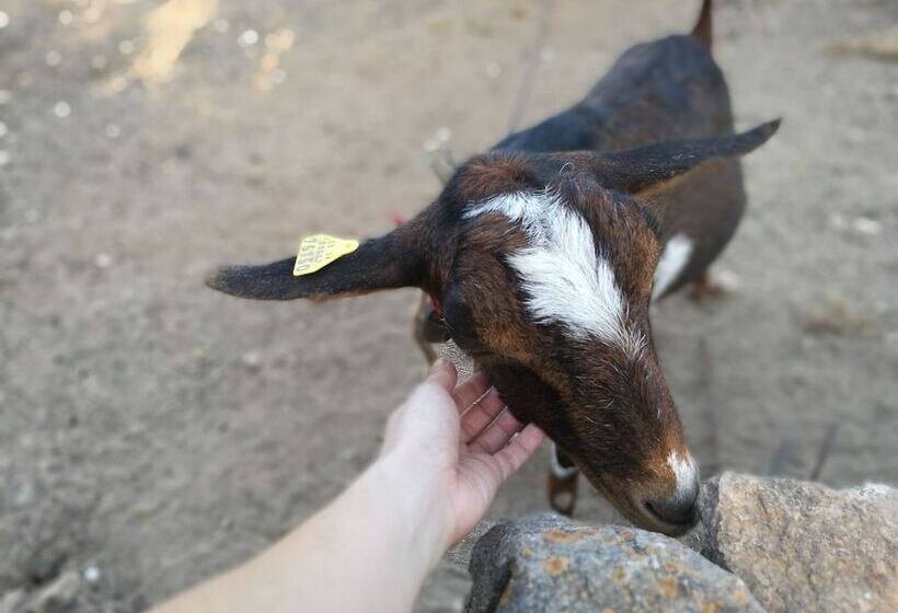 Agroturismo Can Prats