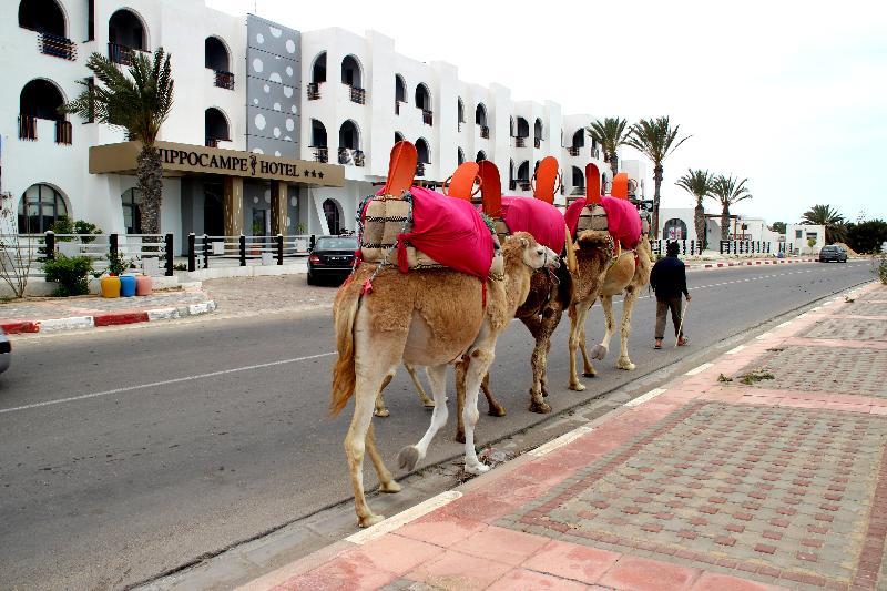 Отель Hippocampe