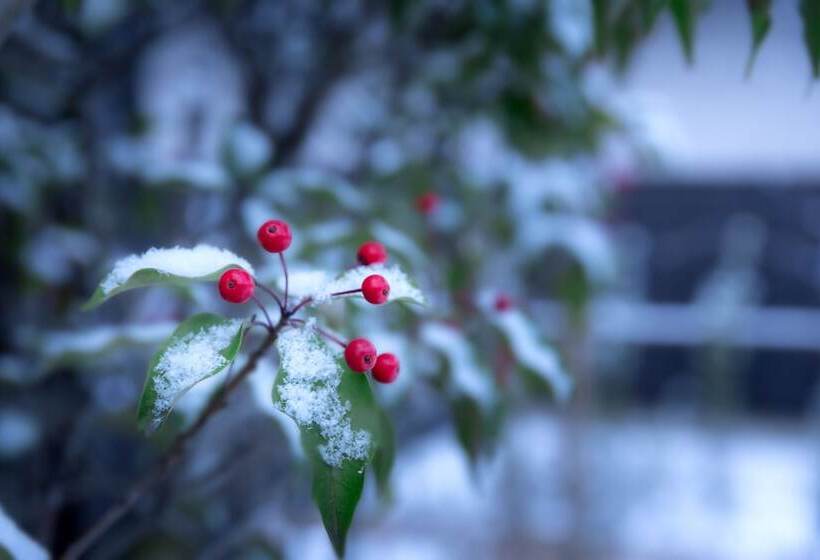 Отель Hoshino Resorts Kai Alps