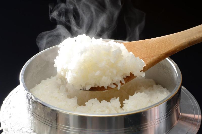 Отель Iizaka Onsen Surikamitei Ohtori