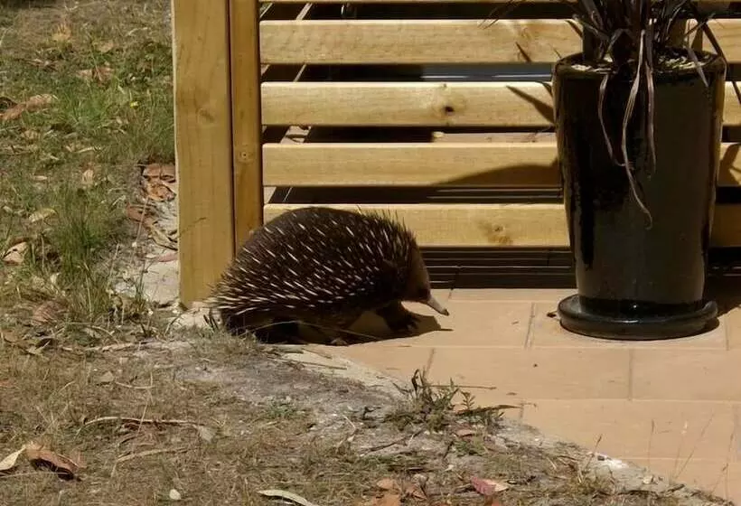 Hotelli Bay Retreat Port Arthur