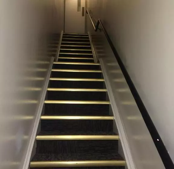 ホテル Dc International Hostel 1