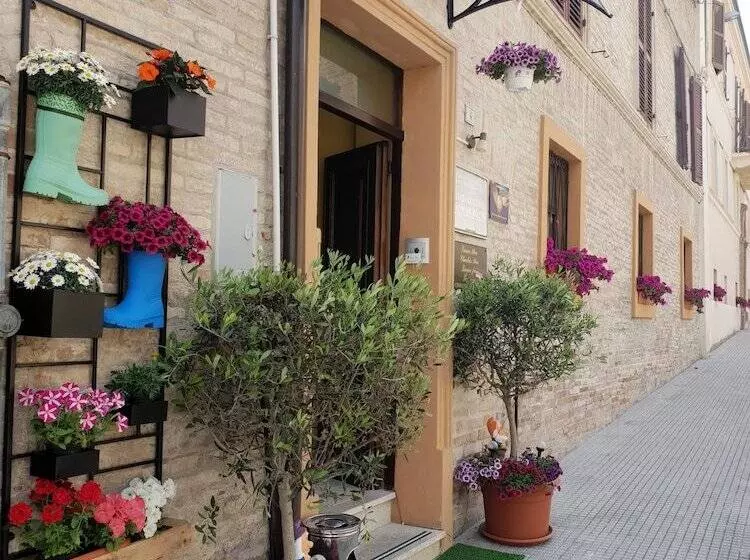 Hotelli Domus Pacis Santa Chiara Casa Per Ferie