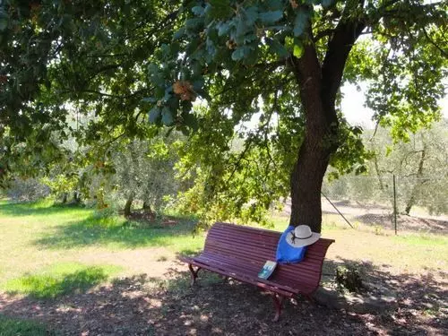 ホテル Galleria Di Brolio