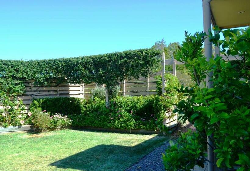 בית מלון כפרי Grapevines Boutique Accommodation