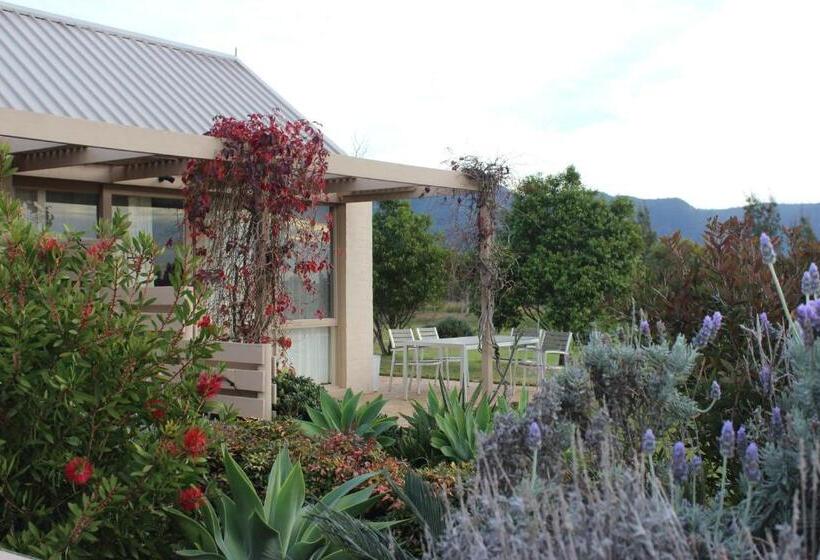 בית מלון כפרי Grapevines Boutique Accommodation