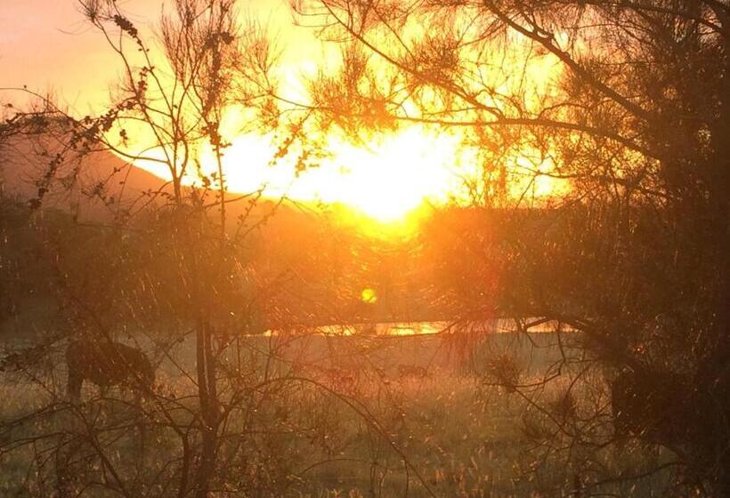 בית מלון כפרי Grapevines Boutique Accommodation