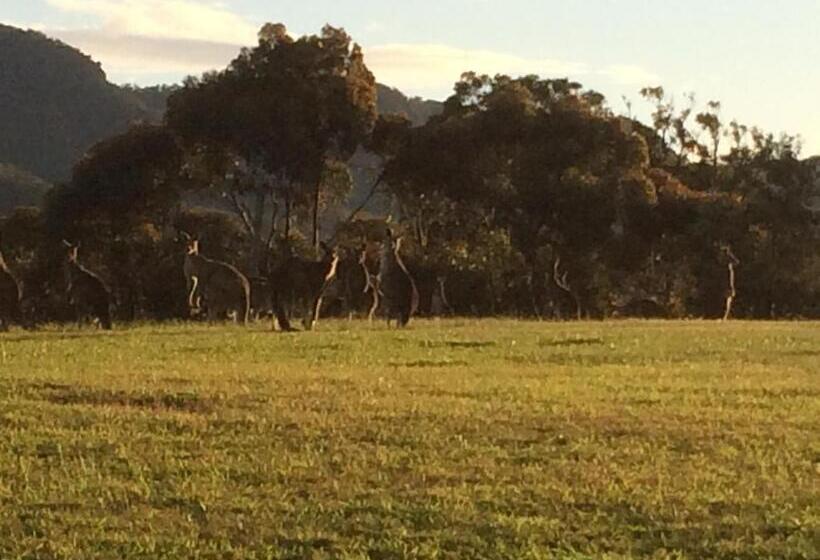 בית מלון כפרי Grapevines Boutique Accommodation