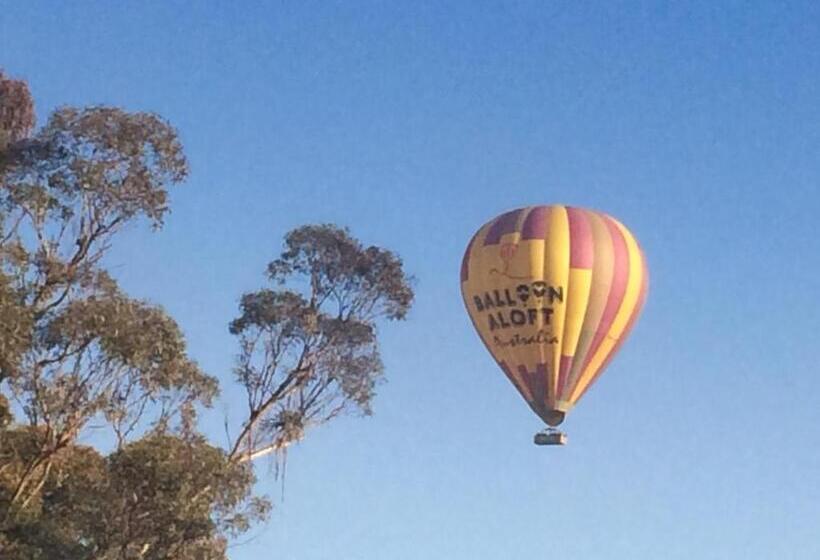 בית מלון כפרי Grapevines Boutique Accommodation