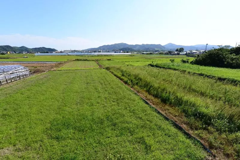 Hotelli Haruno Guest House