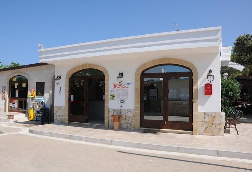 酒店 Villaggio Pineta Al Mare   Campground