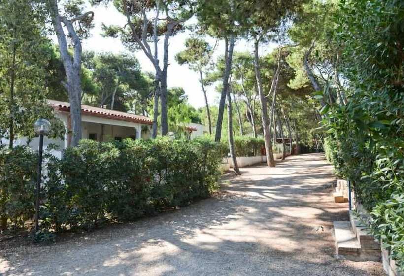 酒店 Villaggio Pineta Al Mare   Campground