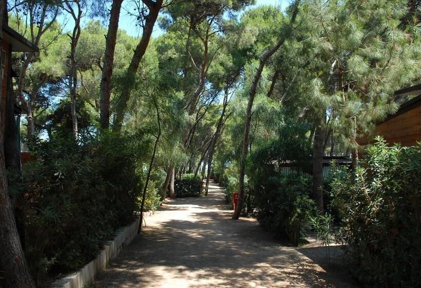 酒店 Villaggio Pineta Al Mare   Campground