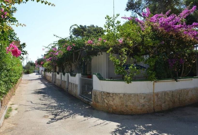 酒店 Villaggio Pineta Al Mare   Campground