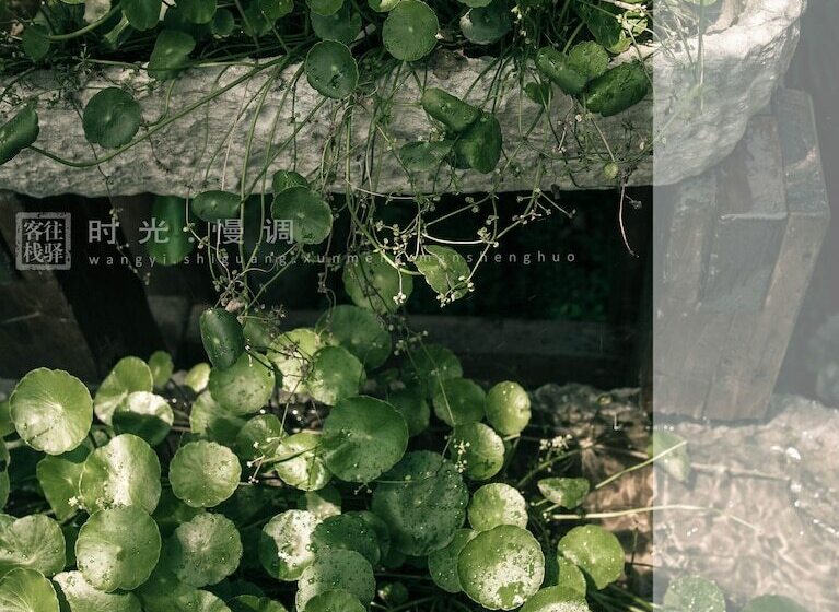 בית מלון כפרי Zhangjiajie Wangyi Inn