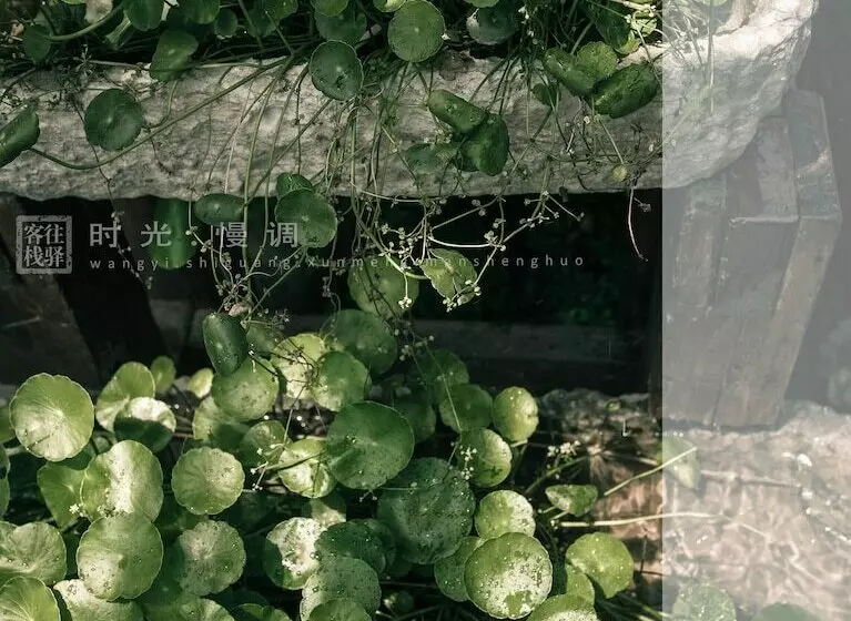 Hotelli Zhangjiajie Wangyi Inn