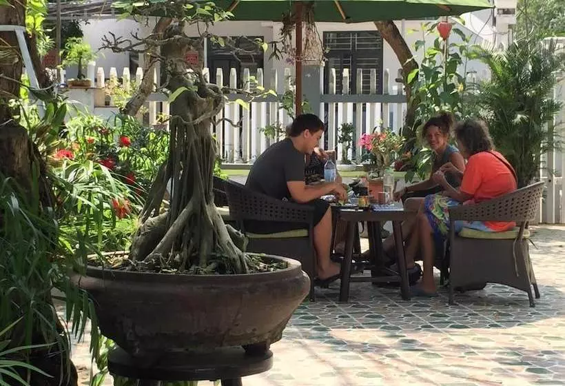 هتل Apricot Homestay