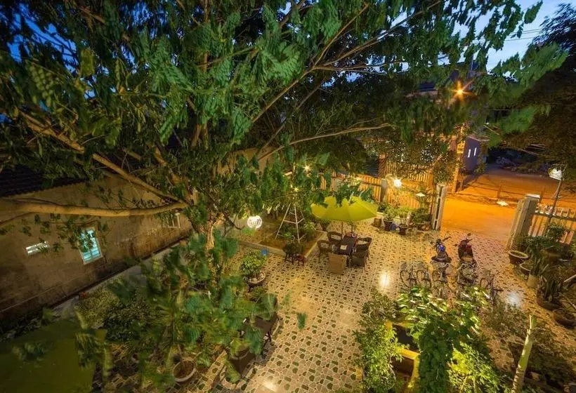 هتل Apricot Homestay