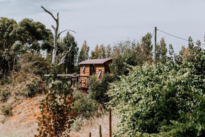 فندق Belmont Homestead