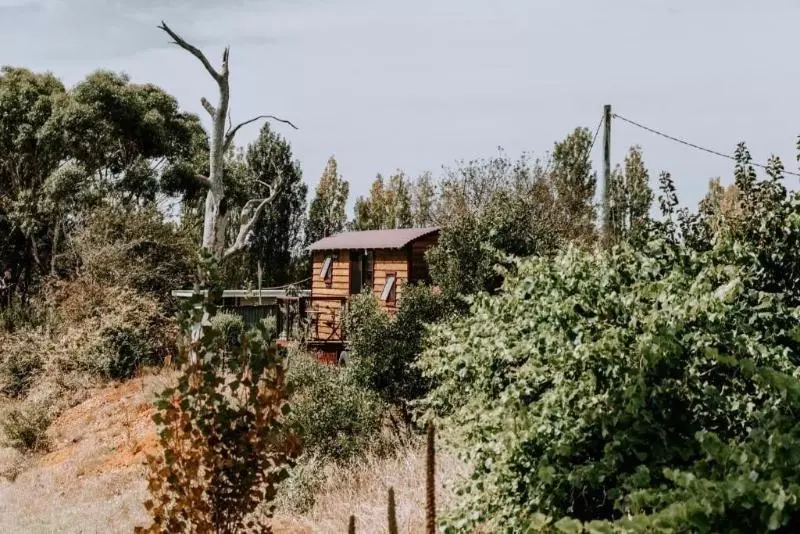 Hotelli Belmont Homestead