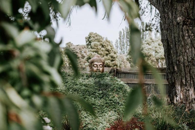 فندق Belmont Homestead