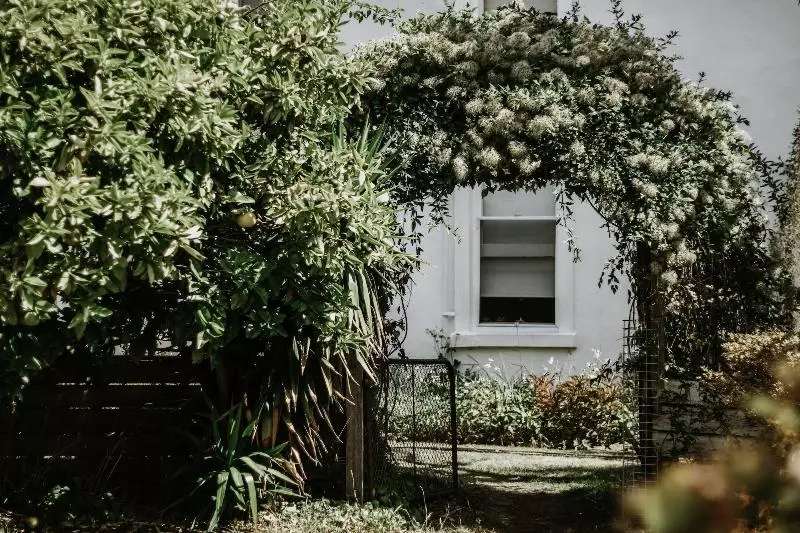 Hotelli Belmont Homestead