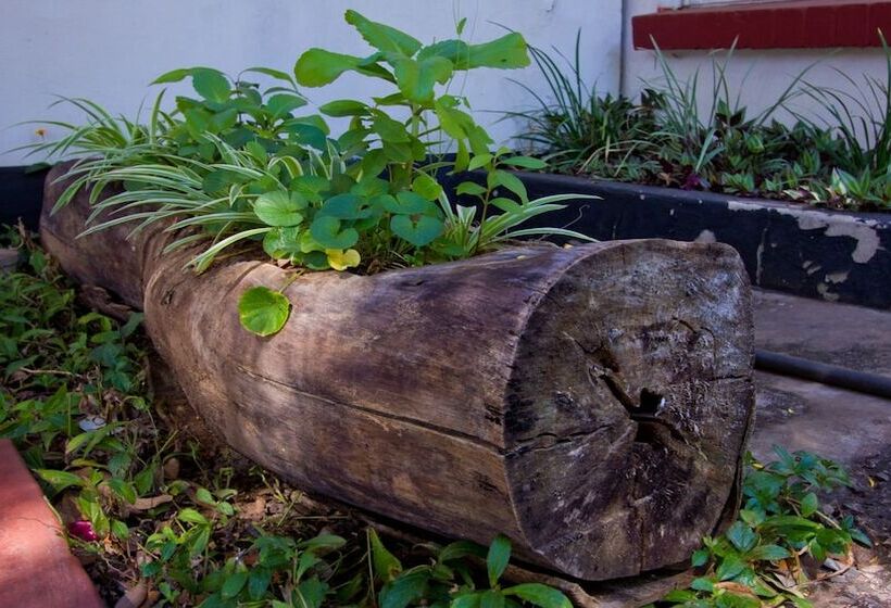 هتل Chanters Lodge