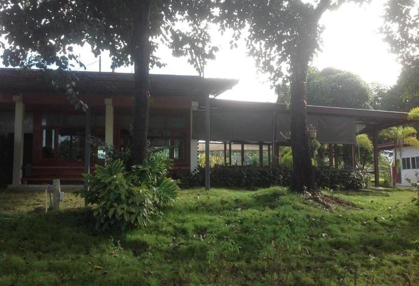 هتل Check In And Chill Out