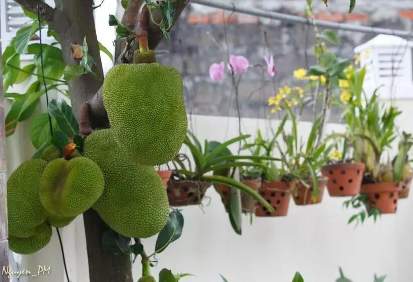 هتل Gia Lam Villa Hoi An