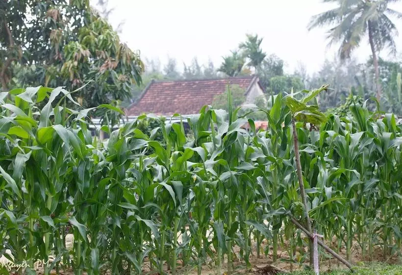 هتل Gia Lam Villa Hoi An