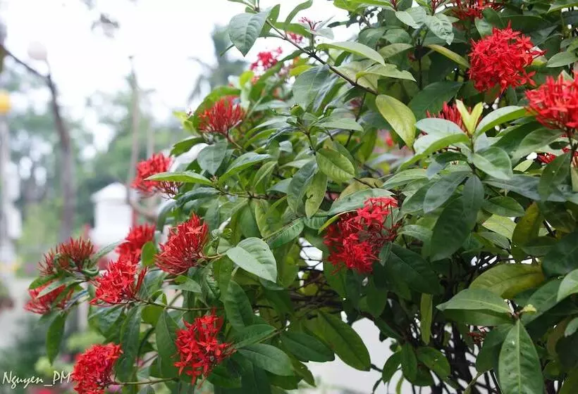 هتل Gia Lam Villa Hoi An