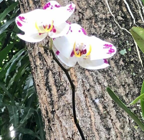 Отель Posada La Pastora