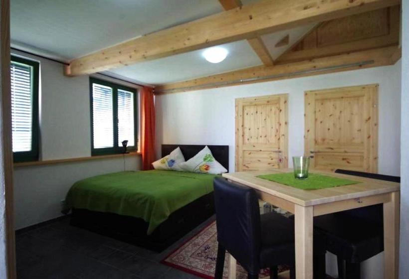 هتل Altes Waschhaus