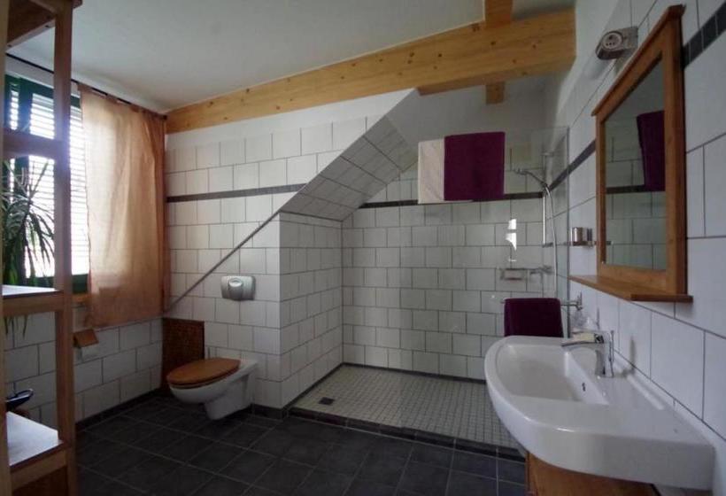 هتل Altes Waschhaus