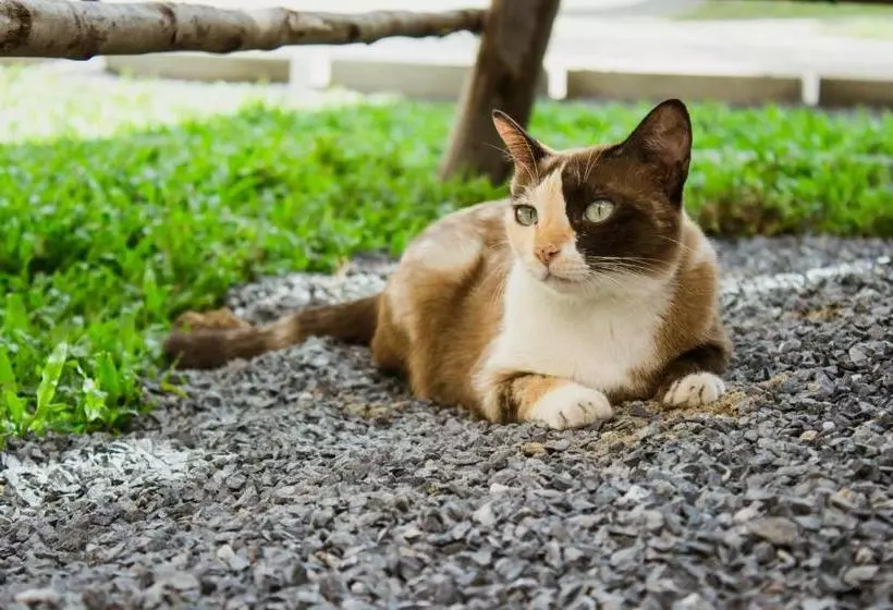 ホテル Ban Klong Srabua