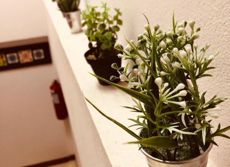 Отель Rada Arak 79/4 Hostel