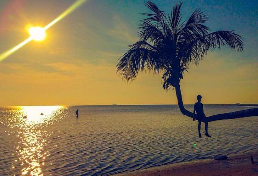 Hotel Thai Resort   Hostel