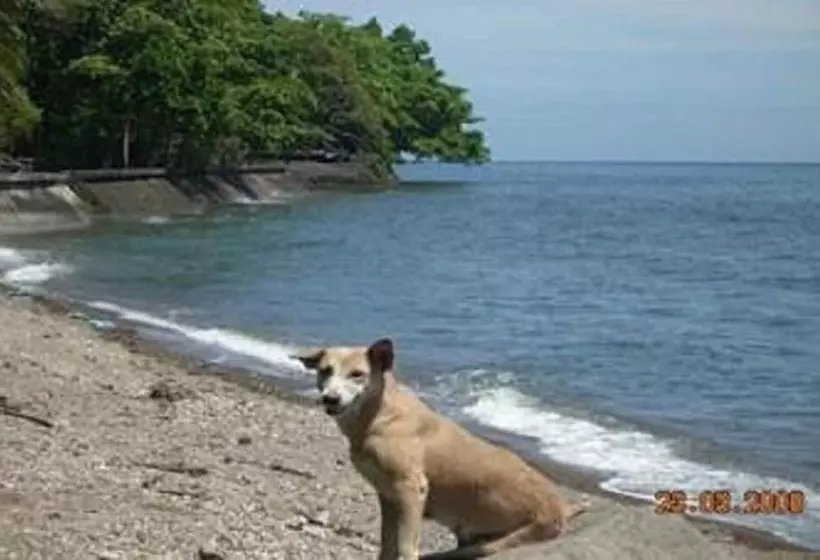 Hotel Algen's Dive Resort