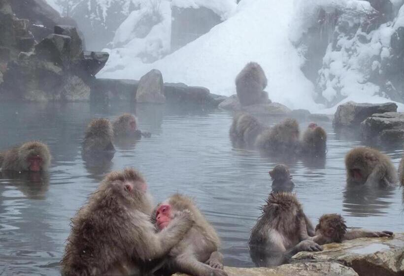 Hotel Backpackers Dorms Miwa Hostel