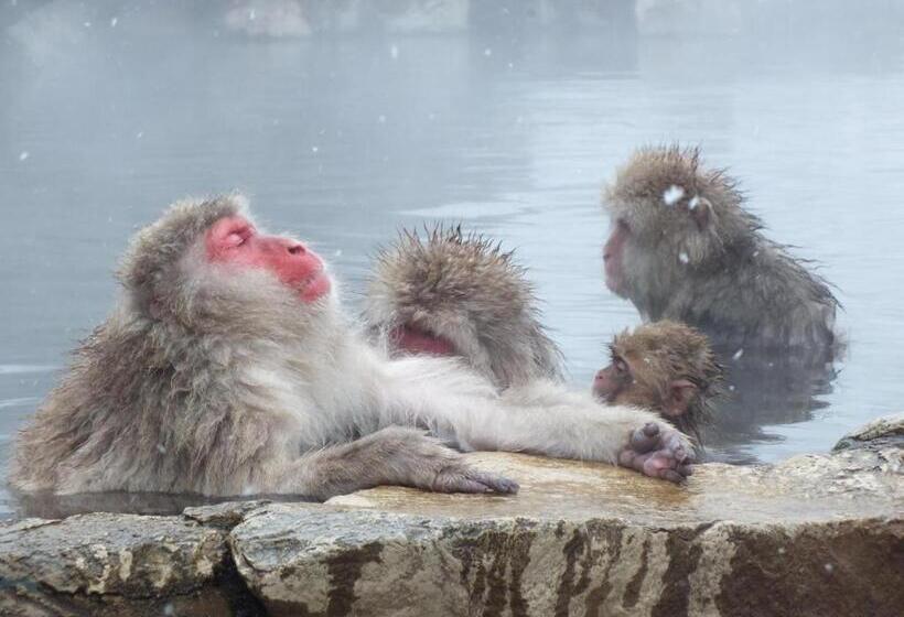 Hotel Backpackers Dorms Miwa Hostel