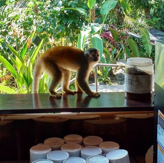 هتل Manuel Antonio Hostel Resort