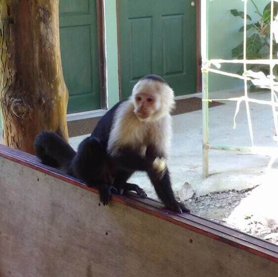 هتل Manuel Antonio Hostel Resort