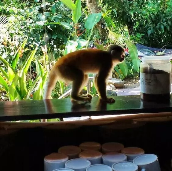 Hotelli Manuel Antonio Hostel Resort