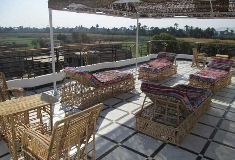 هتل Nile Paradise Apartments