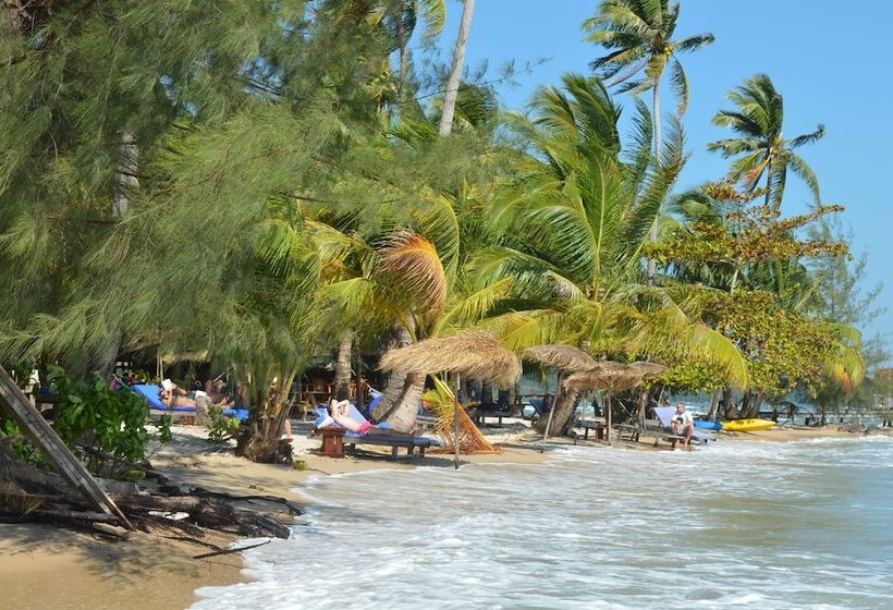 Hotel Palm Beach Bungalow Resort