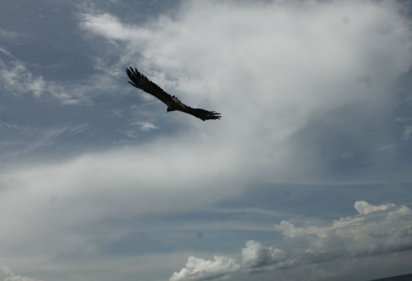 Hotel Palm Beach Bungalow Resort