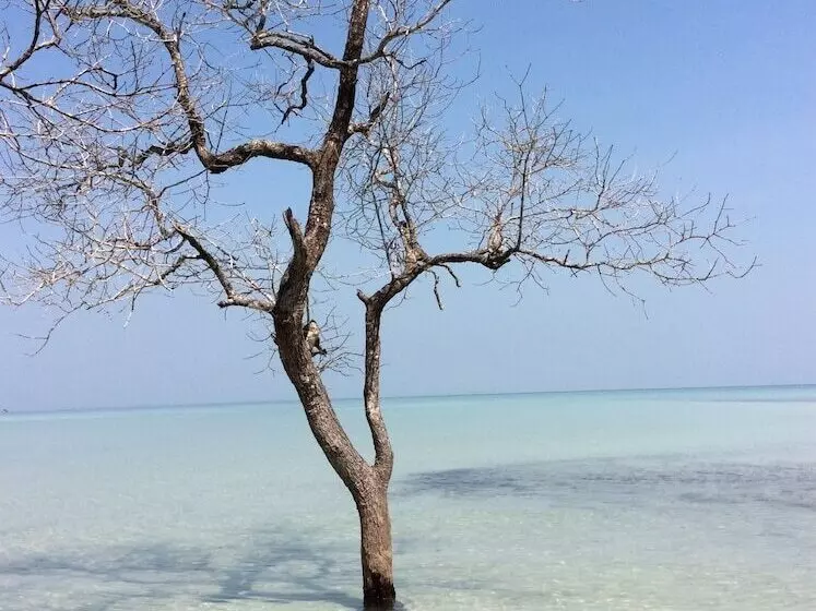 Hotelli Palm Beach Bungalow Resort