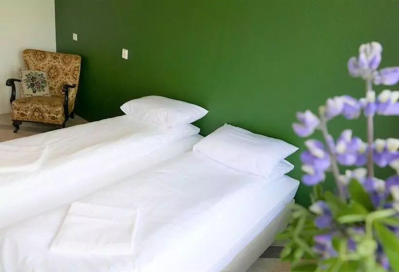 هتل Snotra Hostel